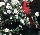 Cardinal & Apple Blossoms