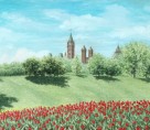 Parliament Building and Tulips